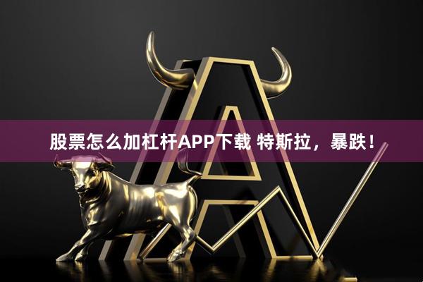 股票怎么加杠杆APP下载 特斯拉,暴跌!