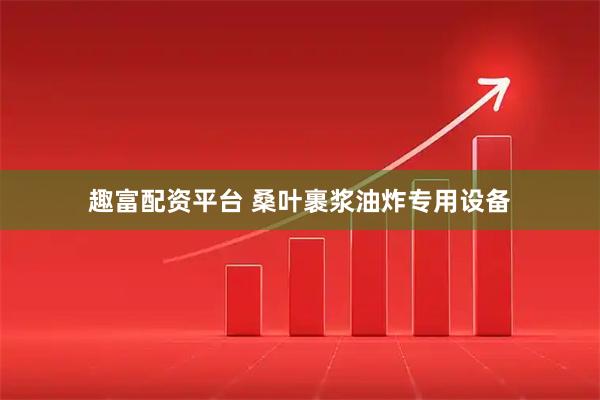 趣富配资平台 桑叶裹浆油炸专用设备