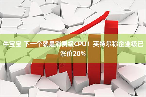 牛宝宝 下一个就是消费级CPU！英特尔称企业级已涨价20%